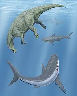 Reconstitution d'un Cretoxyrhina (au premier plan en bas, montré en gris et noir), et de deux Squalicorax (en second plan, en haut à droite avec les deux requins gris), tournant autour d'un Claosaurus mort (le dinosaure de couleur verte montré en haut à gauche).