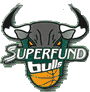 Logo du Kapfenberg Bulls