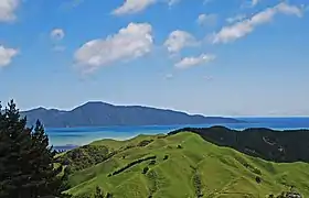 Maungakotukutuku