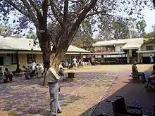 Photo d'une cour entourée de bâtiments de teinte claire avec un arbre en son centre et un homme de profil au premier plan.