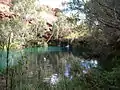 Fern Pool, dans le parc national de Karijini, est une destination populaire pour les touristes.