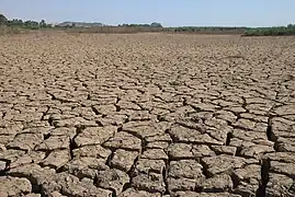 Boue du Nil argileuse dans le bassin inondé annuellement au bord du Nil près de Karima.