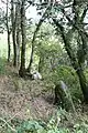 Les vestiges du couloir du cairn de Keringard.