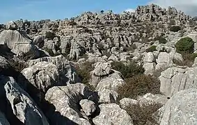 Calcaires karstiques. Torcal de Antequera, province de Malaga  (Andalousie, Espagne).