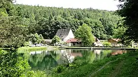 Restes de la chartreuse de Grünau avec son étang.