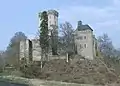 Château de Kasselburg (de) (Gerolstein)