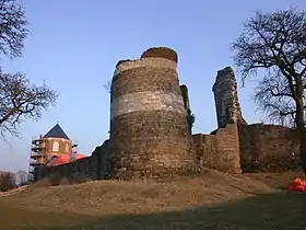 Image illustrative de l’article Château de Montfort (Limbourg)