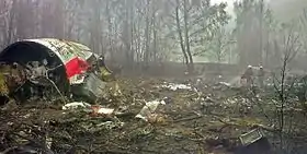 Débris du Tupolev Tu-154 après l'accident.