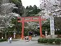 Torii du sanctuaire.