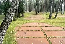 La photographie couleur montre le lieu actuel du massacre. Au milieu d'un bois de feuillus et sapins, au sous-bois d'herbe tondue rase, des dalles roses forment des ovales à l'endroit où furent creusées trois fosses.