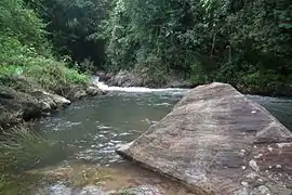 Rivière de montagne, la Kaveri dévale torrentueusement les montagnes du Coorg.