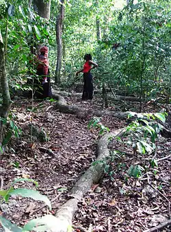 Image illustrative de l’article Forêts sacrées de kayas des Mijikenda
