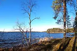 Rive du Keitele.