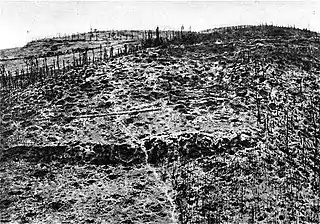Mont Kemmel à la fin de la Première Guerre mondiale (1918), après pilonnage par les obus de l'artillerie ; des milliers de soldats sont morts là, dont de nombreux Français.
