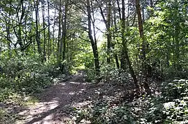 Promenade autour du lac de Rauw