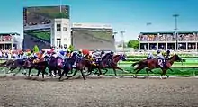 Plusieurs chevaux courent dans un hippodrome.