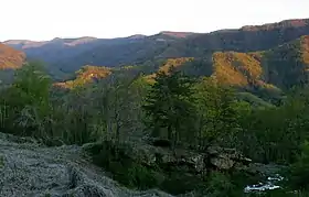 Photo des paysages montagneux et boisés du Kentucky.