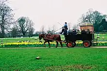 Dans un paysage de campagne, un cheval alezan tire une carriole dotée de pneus contenant plusieurs personnes.