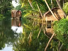 Backwaters du Kerala.