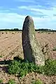 Menhir de Kervizouarn.