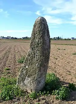 Menhir de Kervizouarn