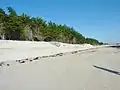 L'érosion de la dune du cordon littoral de la plage de Kermor -1 (commune de Combrit-Sainte-Marine).