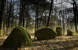 Photographie en couleurs d’un alignement de menhirs dans un sous-bois.