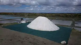 Mulon de sel