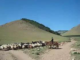 Image illustrative de l’article Élevage en Mongolie