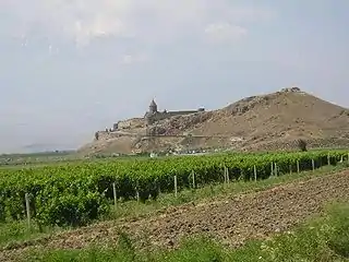 Image illustrative de l’article Viticulture en Arménie