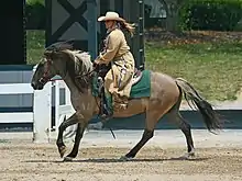 Photo d'un cheval galopant vu de profil et monté par une femme avec une tenue et un équipement de cow-boy.