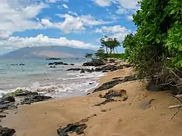 Plage de Kihei.