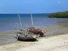 Bateaux de pêche traditionnels.