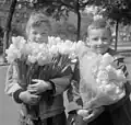 Enfants avec brassée et bouquet de tulipes pour la fête des Mères (archives nationales, Pays-Bas, 1957)