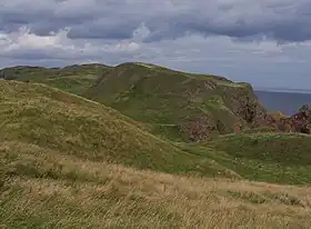 Image illustrative de l’article Æbbe de Coldingham