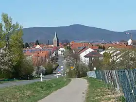 Kirrweiler (Pfalz)