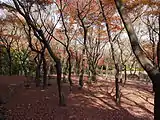 Parc Kitanomaru aux couleurs de l'automne (2010).