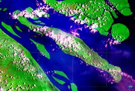 Photo satellitaire - Kiwai est l'île au centre
