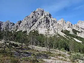 Vue du Kleines Palfelhorn