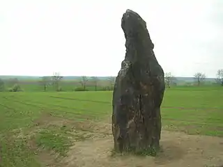 Menhir Kamenný pastýř près de Klobuky, République tchèque.