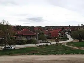 Knežica (Doljevac)