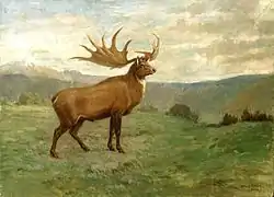 Mégaloceros (Megaloceros giganteus).