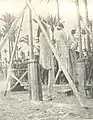 Exécution quotidienne à Benghazi, 1930