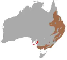 carte d'Australie montrant la distribution du Koala