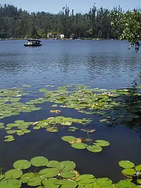 Canotage sur le lac.