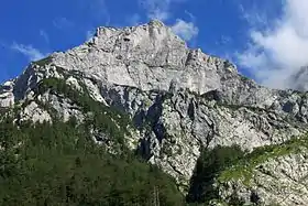 Vue de la face sud du Kogel, depuis la vallée de Kamniška Bistrica.
