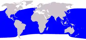 Aire de répartition du Cachalot pygmée