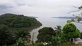 Cogo (Guinée)