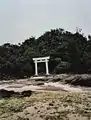 Tori sur une plage à l'est de Kohama-jima