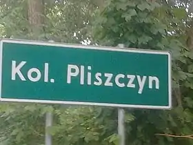 Kolonia Pliszczyn